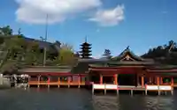 厳島神社の本殿・本堂