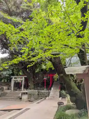 乃木神社(東京都)
