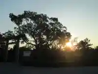 屋久島大社の自然