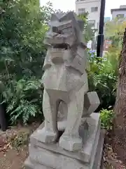 東郷神社の狛犬