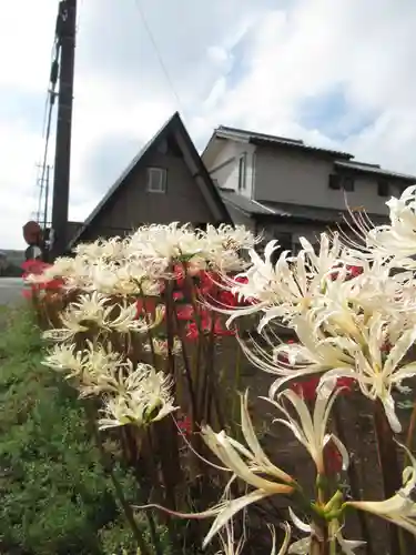 真光寺(千葉県)