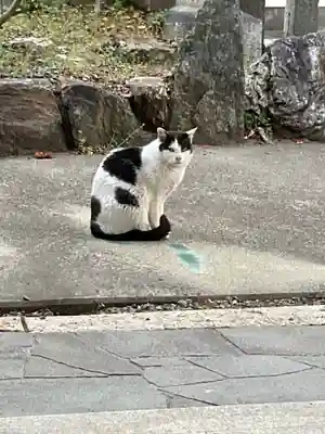 天王坊稲荷神社(岐阜県)