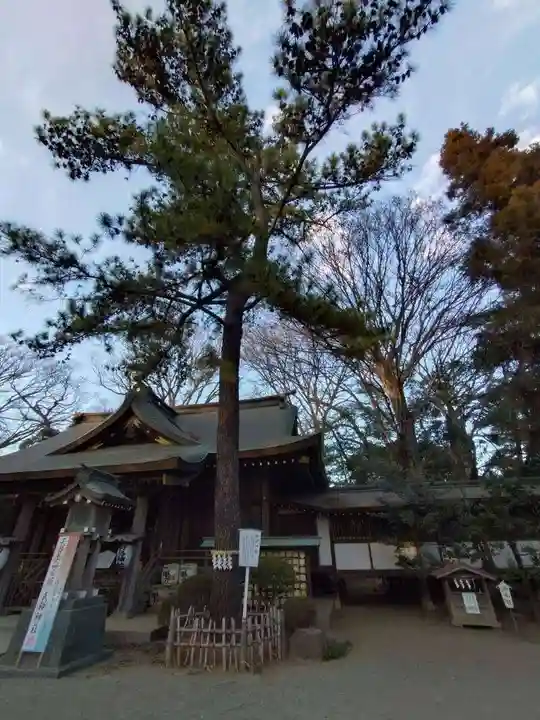 前鳥神社(神奈川県)