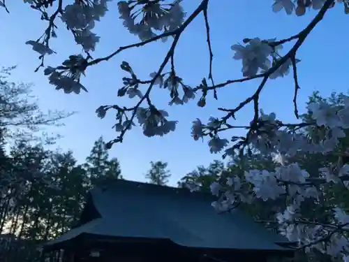 滑川神社 - 仕事と子どもの守り神の本殿