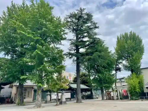 亀有香取神社(東京都)