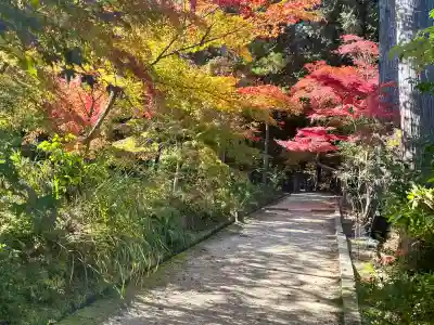 白山神社(滋賀県)