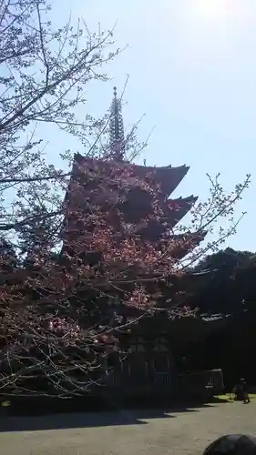 醍醐寺の塔