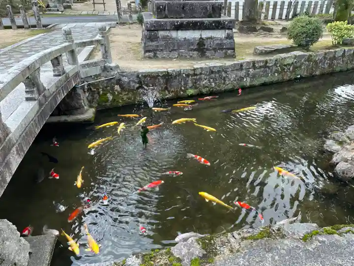 大宮賣神社の動物