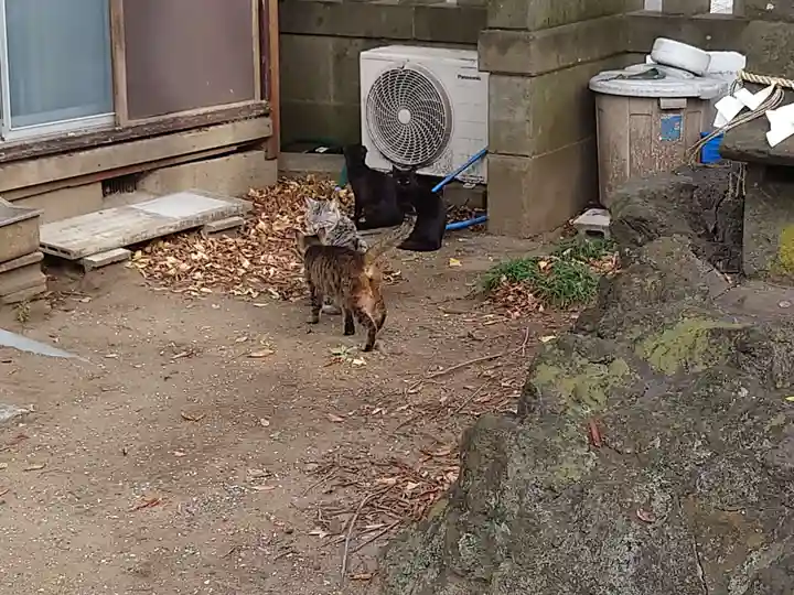 蘇我比咩神社の動物