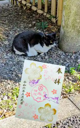 白金氷川神社の御朱印