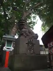 田無神社の狛犬