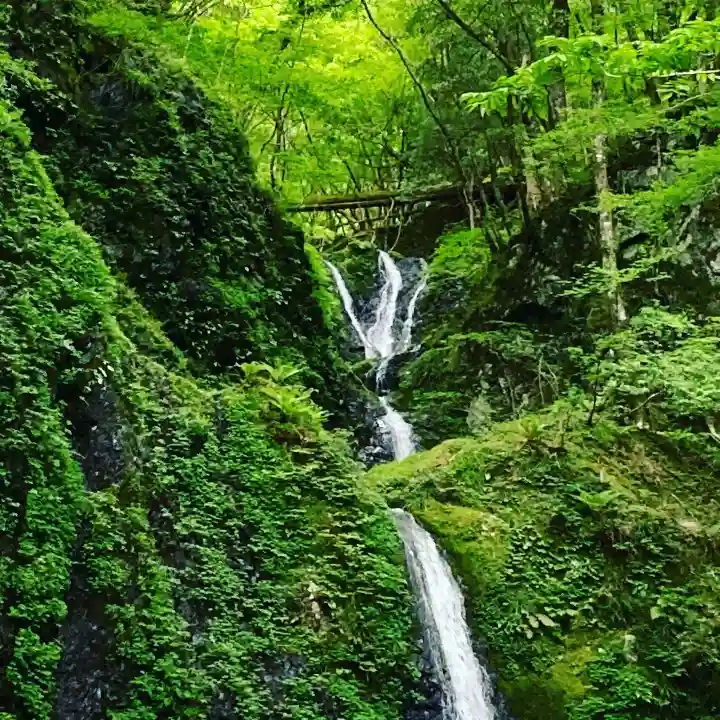 丹生川上神社(上社)の自然