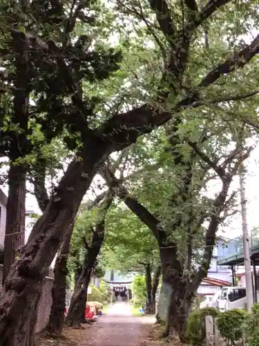 田端神社(東京都)
