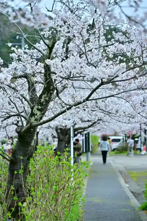 彌彦神社(新潟県)