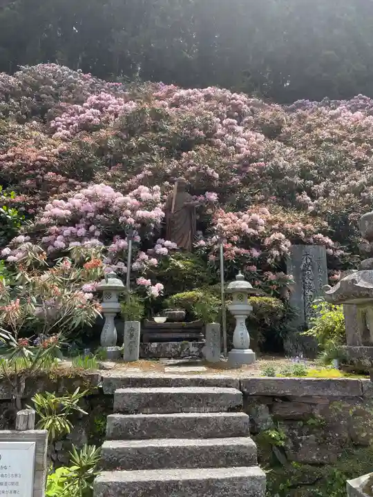 横峰寺(愛媛県)