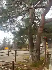 座光如来寺（元善光寺）(長野県)