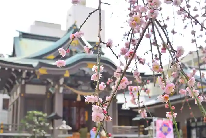 柏神社(千葉県)