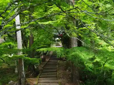龍穏寺(京都府)