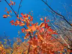 芝大神宮(東京都)