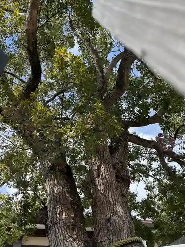 水戸東照宮の自然
