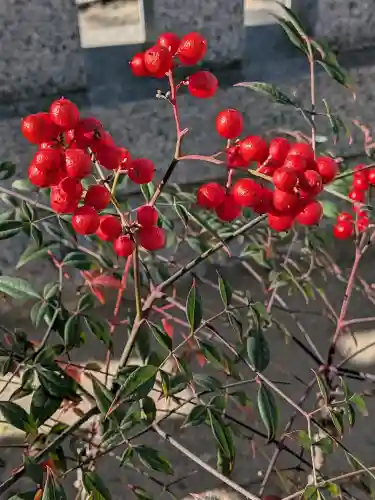 舞子六神社／まいこむの宮(兵庫県)