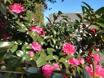 叶神社 (西叶神社)(神奈川県)