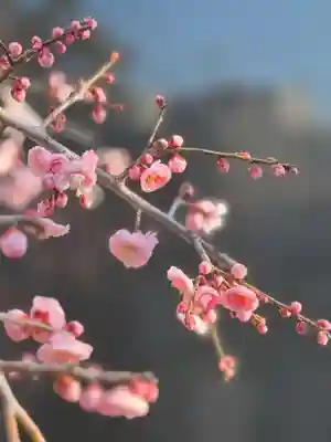 伊勢の国 四天王寺(三重県)