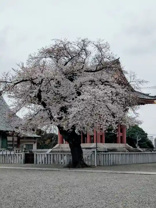 池上本門寺(東京都)