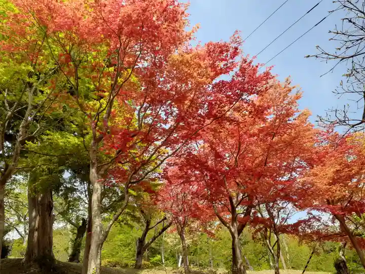 飯野川亀ヶ森八幡神社(宮城県)