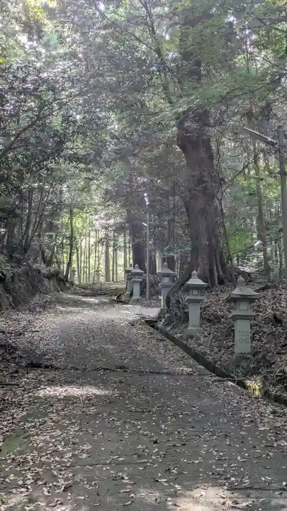宇佐八幡神社(滋賀県)