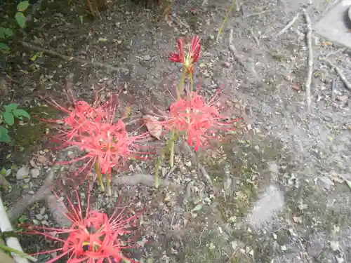 浄光明寺の自然