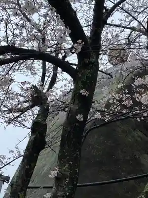 千光寺(広島県)