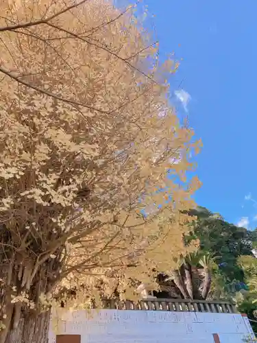 叶神社 (西叶神社)の自然