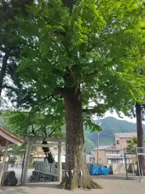 花岡神社(三重県)