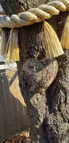 小室浅間神社の庭園