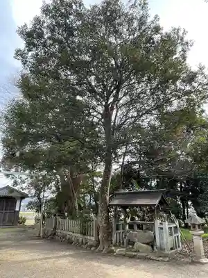 高屋八幡神社(滋賀県)