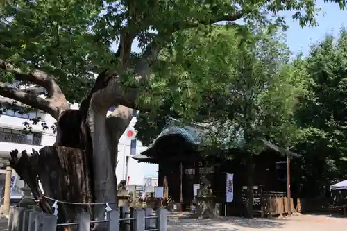 阿邪訶根神社の本殿・本堂