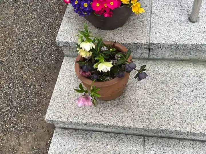 前川神社(埼玉県)