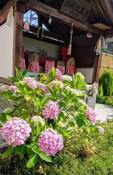 寿量山 速成寺の自然