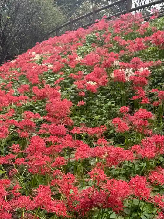 高麗神社(埼玉県)