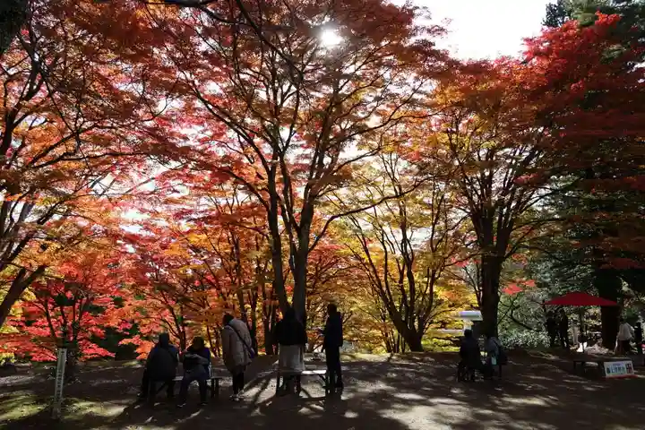 土津神社|こどもと出世の神さまの景色