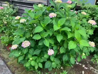 称念寺(富山県)