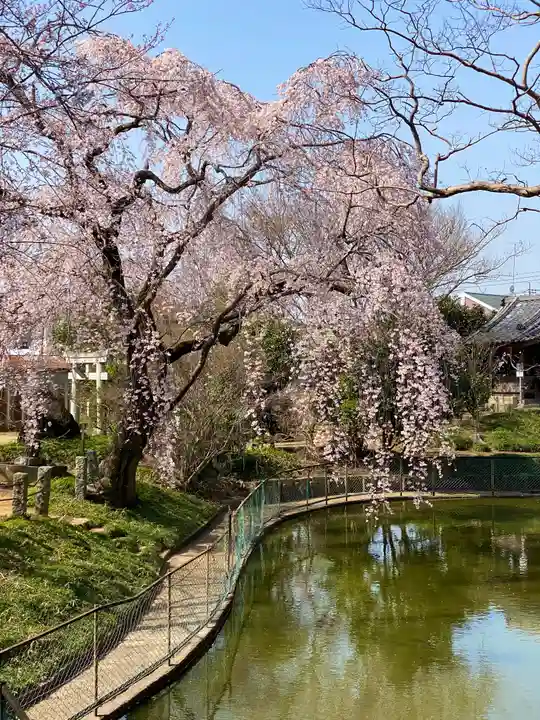 境香取神社の庭園