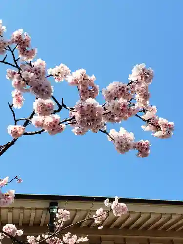 靖國神社(東京都)