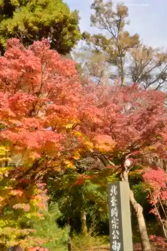円覚寺(神奈川県)