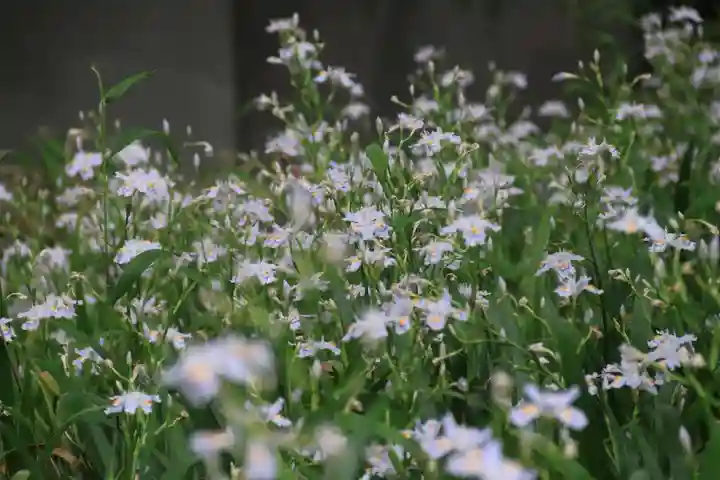 田村神社の庭園