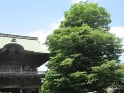稱名寺(神奈川県)