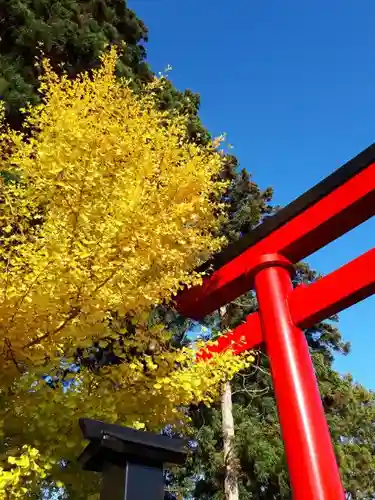 熊野神社のその他建物