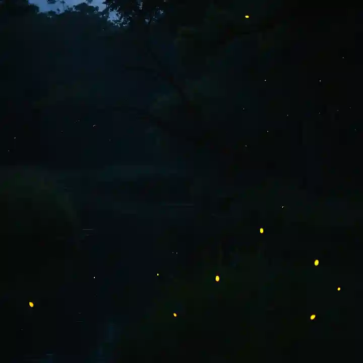 木舟山 順教寺(広島県)