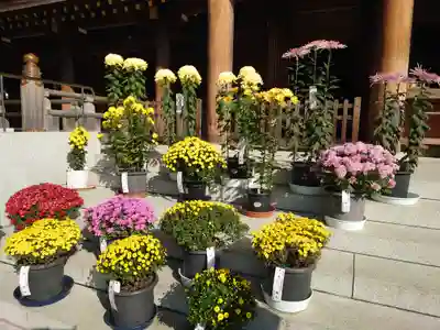 寒川神社(神奈川県)